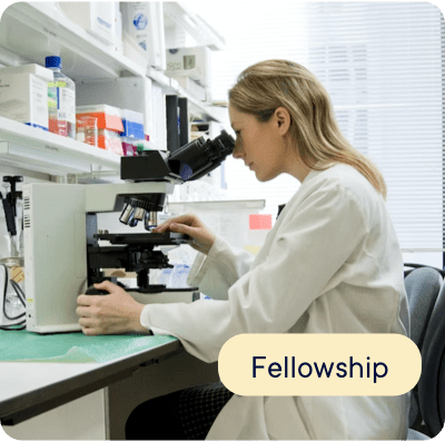 Interstride scholarships